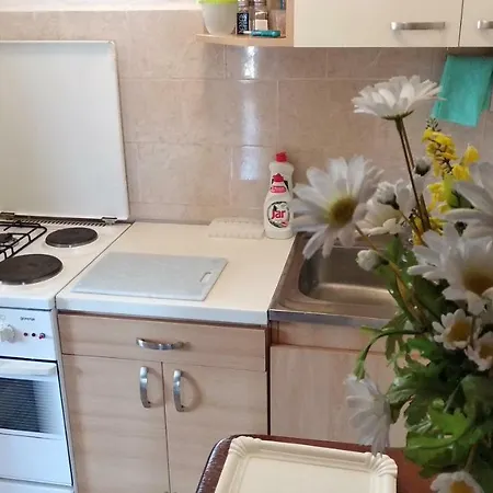 Apartment Ivo Veliko Brdo *