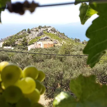 Ivo Veliko Brdo Makarska